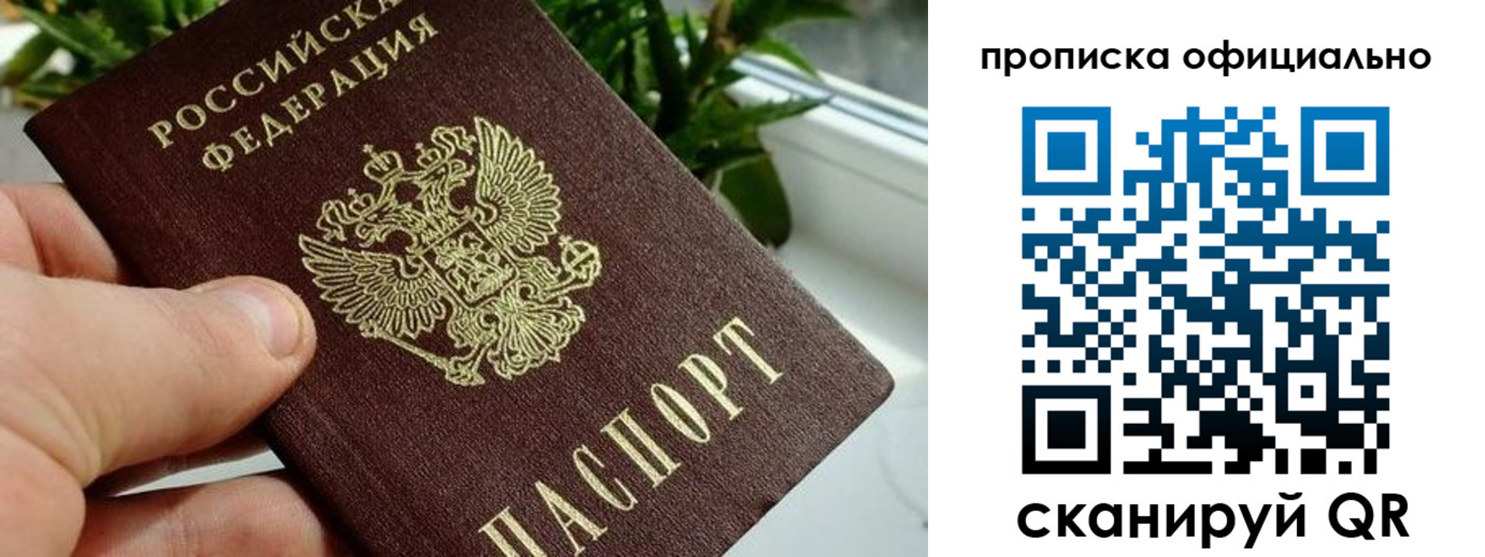 прописка поиск в Добрянке